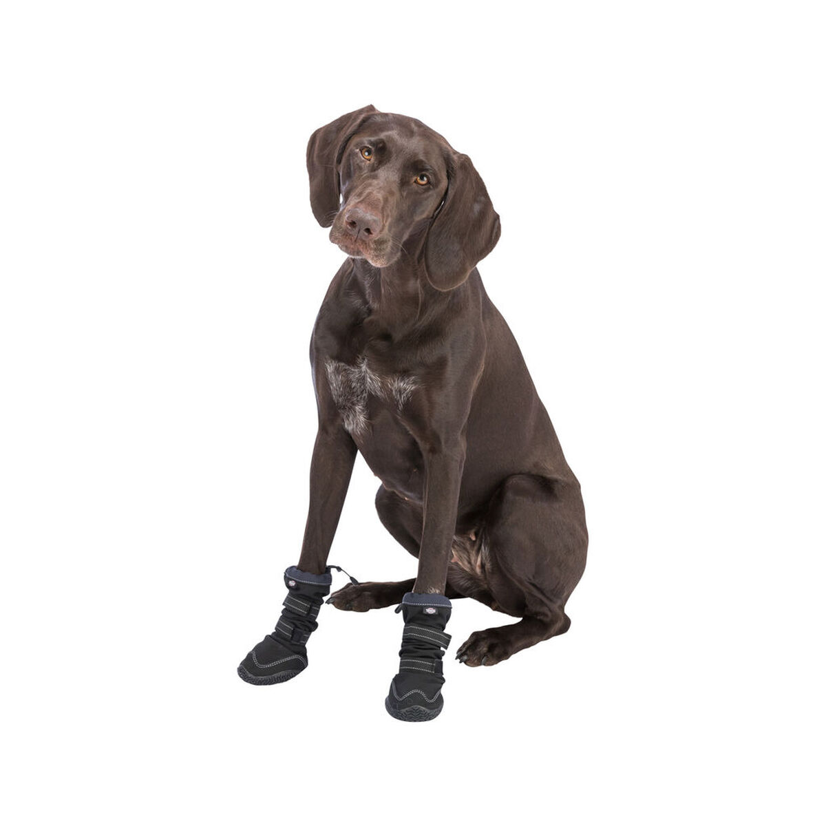 Leg protection walker Trixie Black L/XL